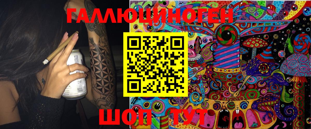 Галлюциногенные грибы Psilocybe Электрогорск