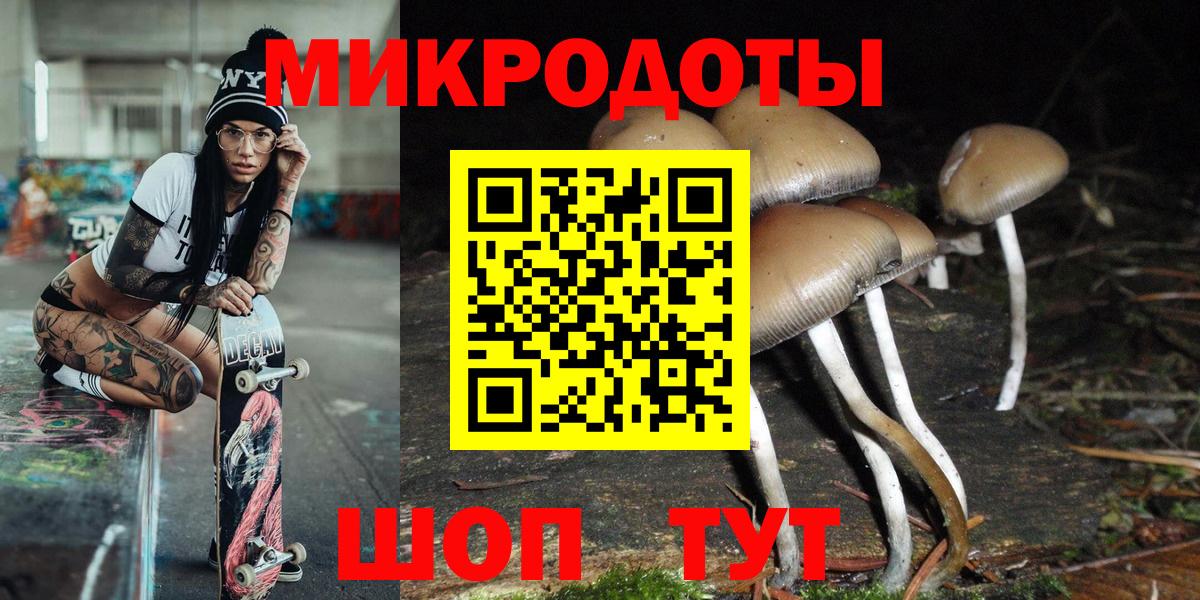 Галлюциногенные грибы Cubensis  Вход с VPN  Электрогорск 